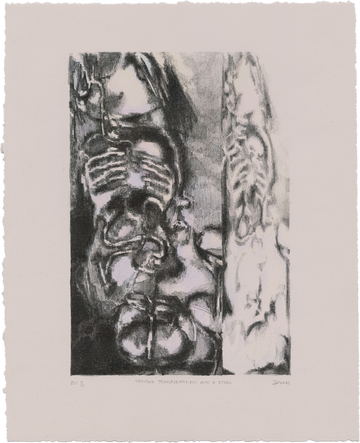 Untitled Transformation into a Stool (2025) stone lithograph