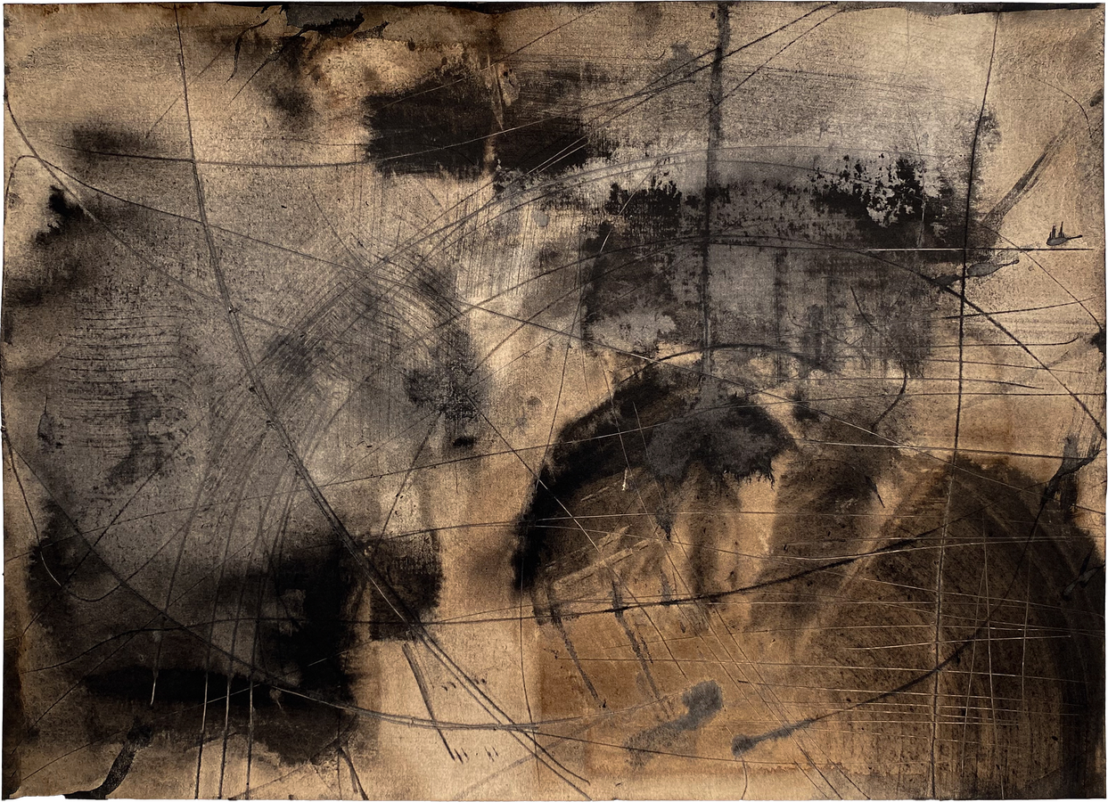 Untitled (2024) india ink, walnut ink, pencil on paper