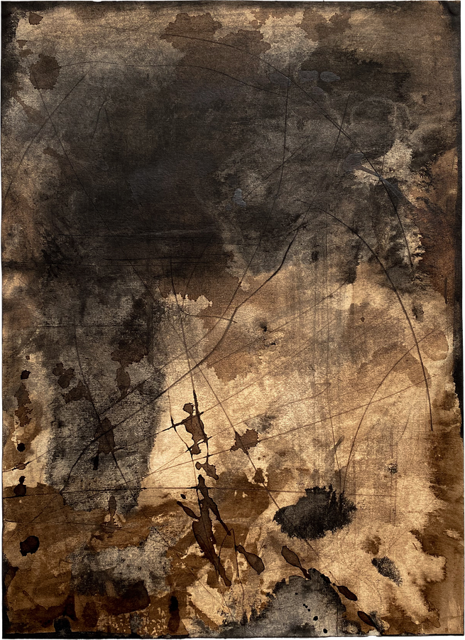 Untitled (2024) india ink, walnut ink, pencil on paper