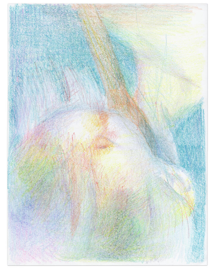 Hang (2025) crayon on paper