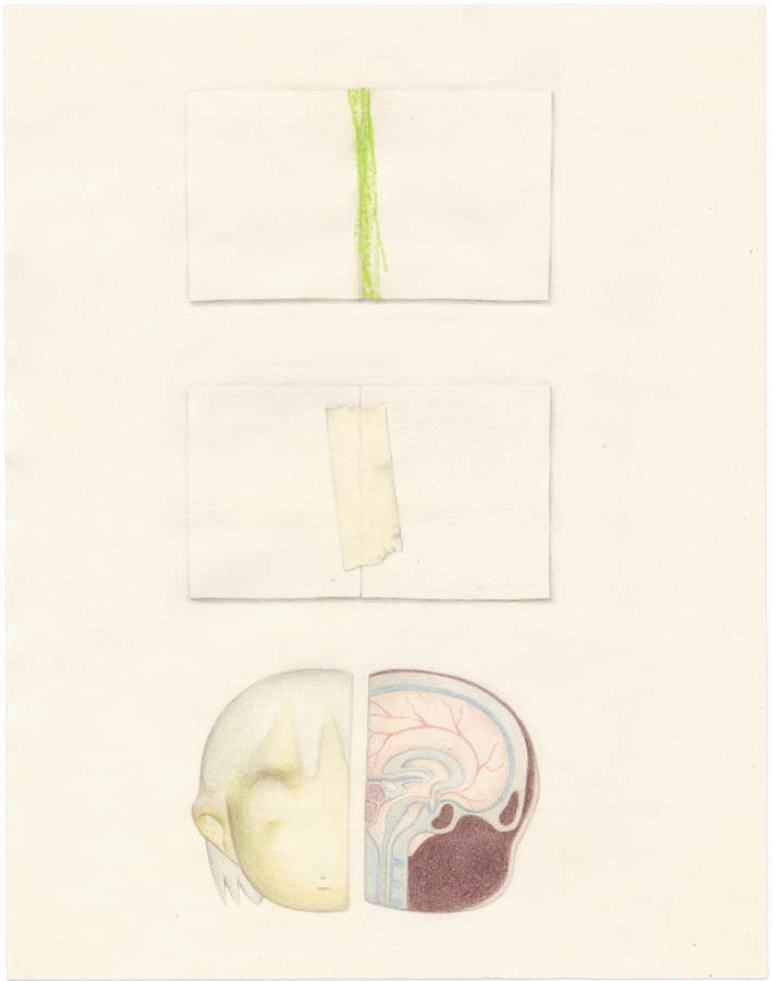 2-halves (2025) colored pencil on paper